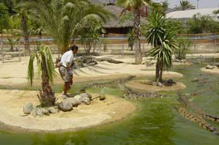 Costa del Sol, crocodile park torremolinos