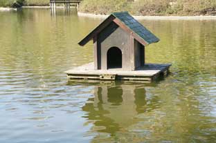 Costa del Sol, Benalmadena paloma park