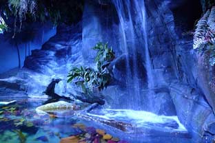 Costa del Sol, sea life benalmadena