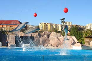 Costa del Sol, selwo marina