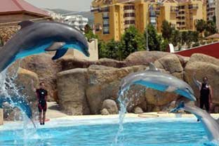 Costa del Sol, selwo marina 