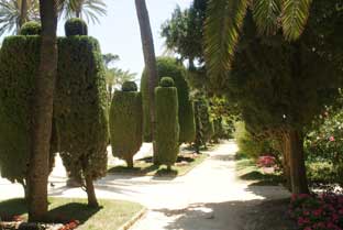 Costa del Sol, Cadiz