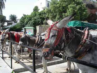 Costa del Sol, Mijas