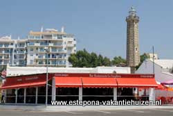 Estepona, la Escollera terras