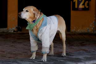 Costa del Sol, Sierra Nevada